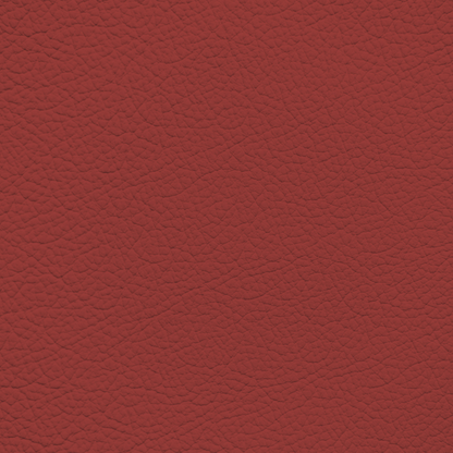 Mercedes Salsa Red Leather Dye