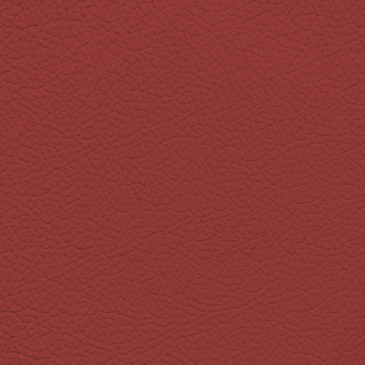 Mercedes Salsa Red Leather Dye