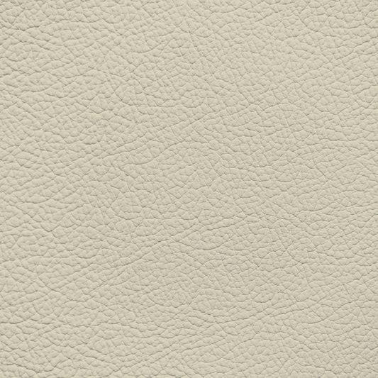 Ford/Lincoln/Mercury Sand Leather Dye