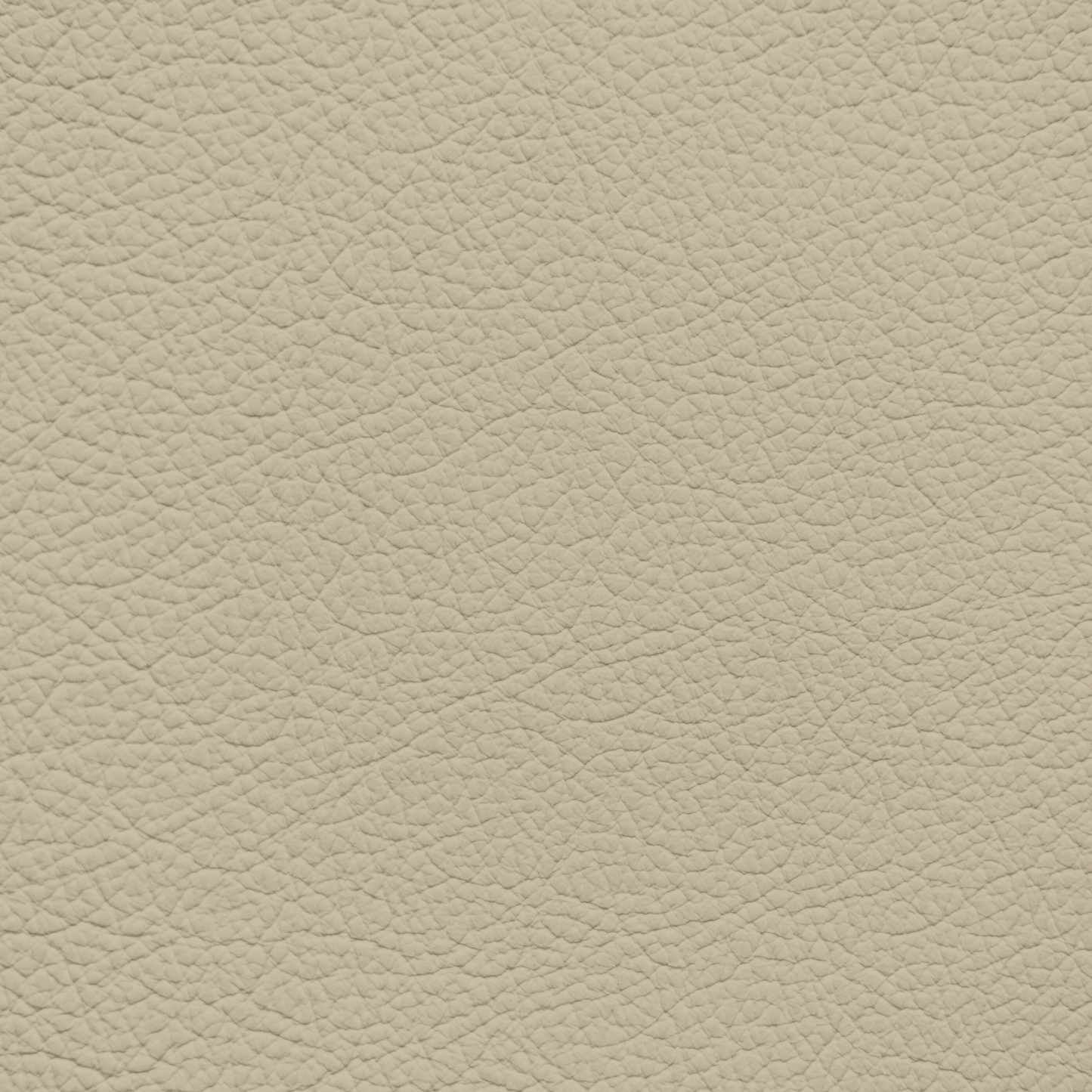 Toyota Sand Leather Dye