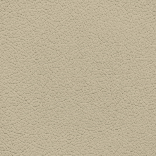 Toyota Sand Leather Dye