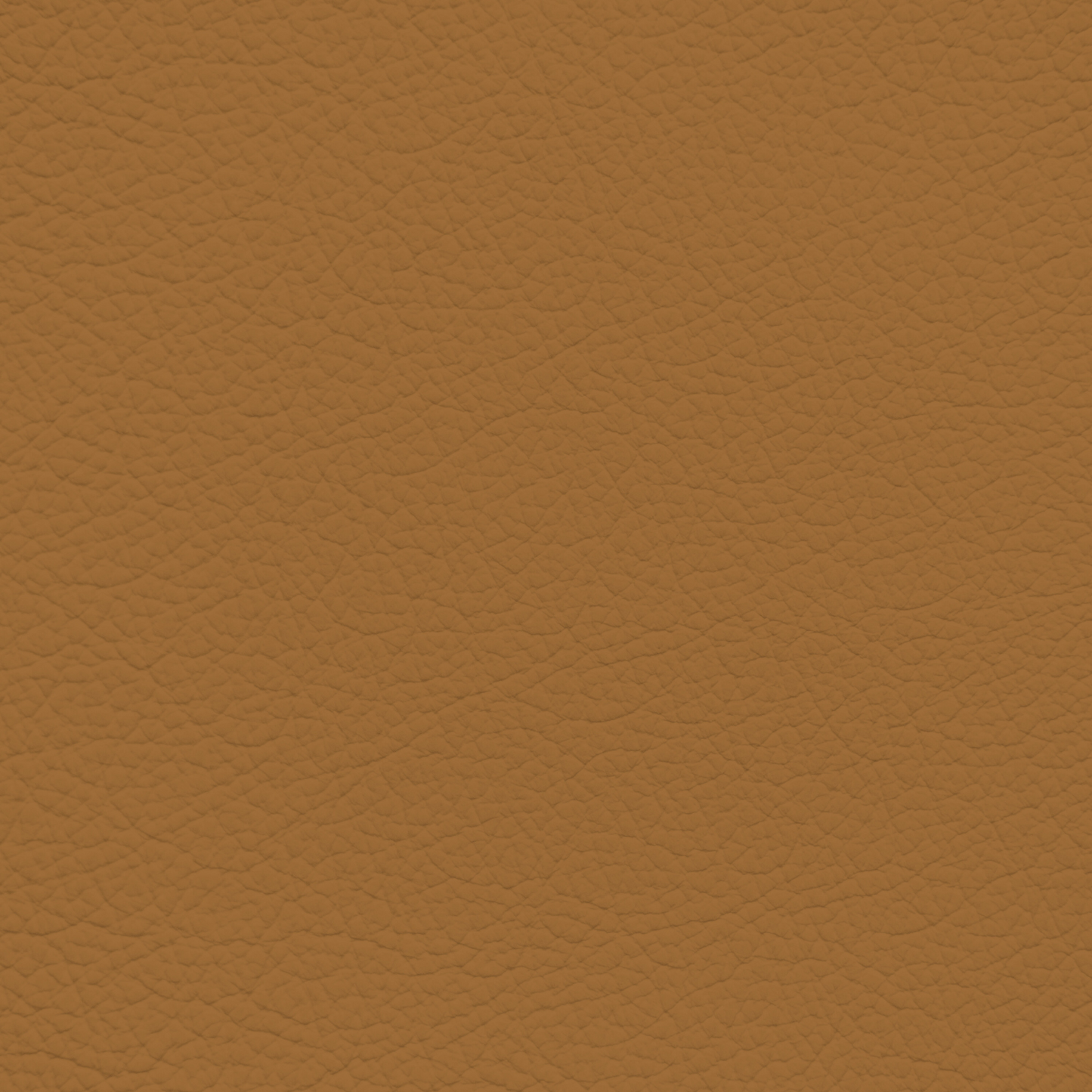 Porsche Sand Beige Leather Dye