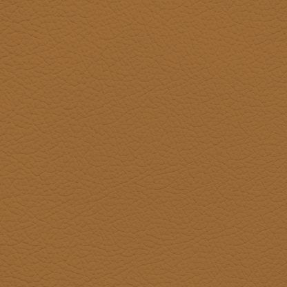 Porsche Sand Beige Leather Dye
