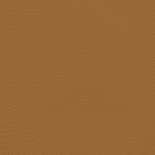 Porsche Sand Beige Leather Dye