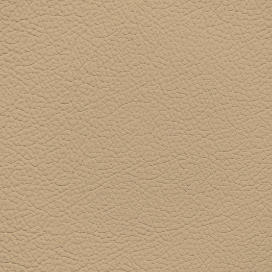 Mercedes Sand Leather Dye
