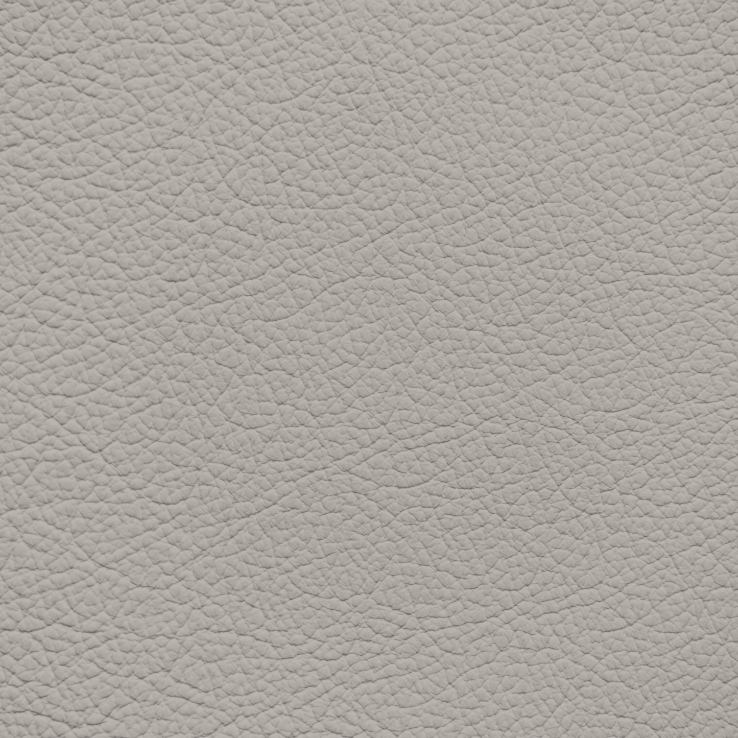 Ford/Lincoln/Mercury Sandstone Leather Dye