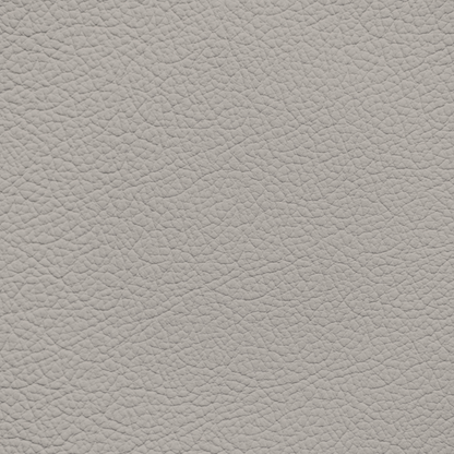 Ford/Lincoln/Mercury Sandstone Leather Dye