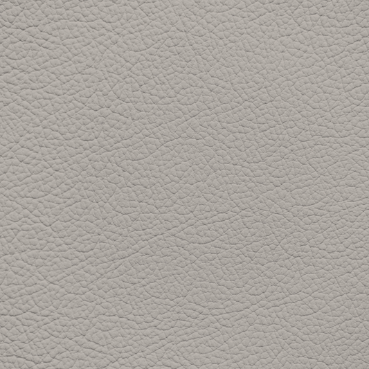 Ford/Lincoln/Mercury Sandstone Leather Dye