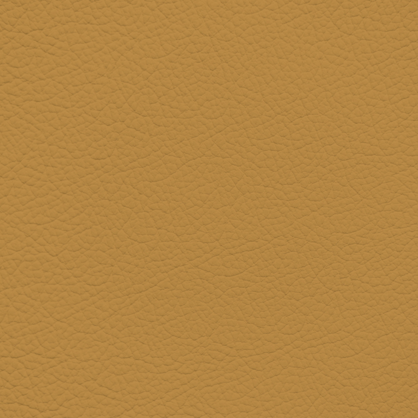 Porsche Savanna Beige Leather Dye