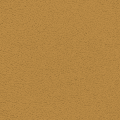 Porsche Savanna Beige Leather Dye
