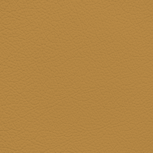 Porsche Savanna Beige Leather Dye