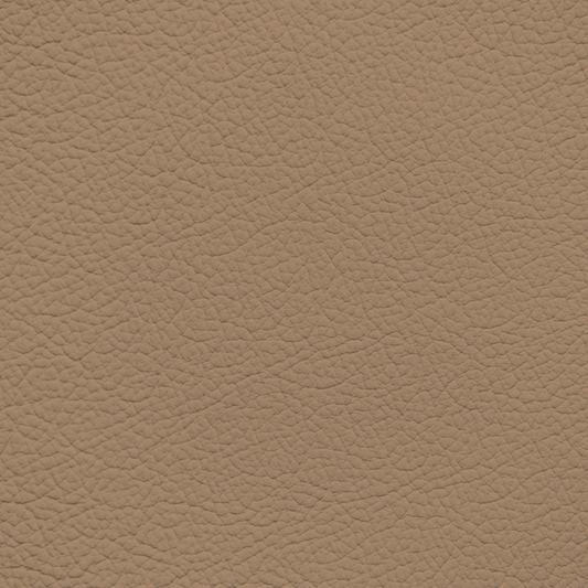 Mercedes Savanna Beige Leather Dye