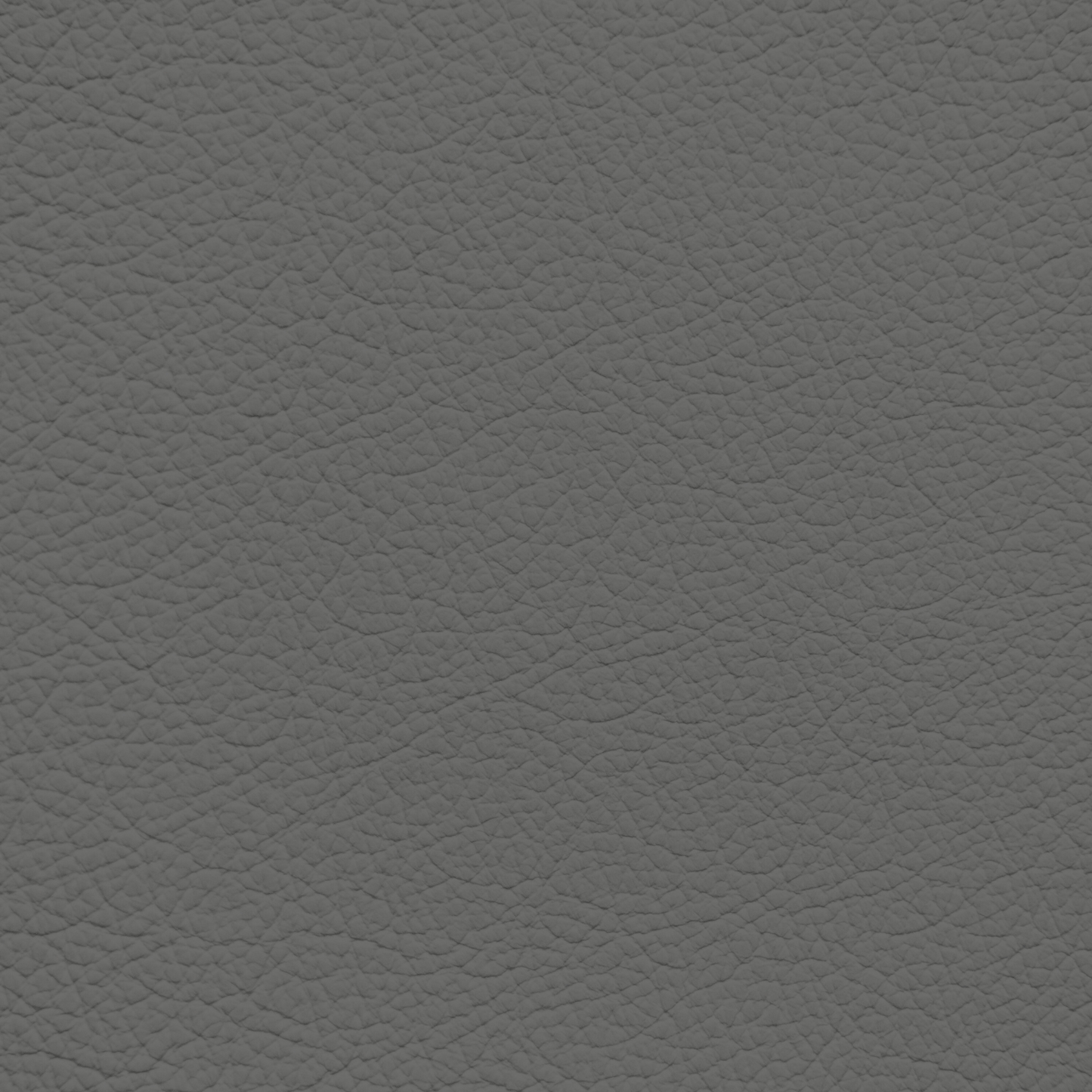 Jaguar Saville Grey Leather Dye