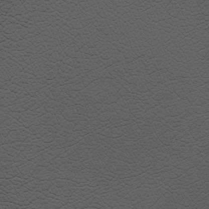 Jaguar Saville Grey Leather Dye