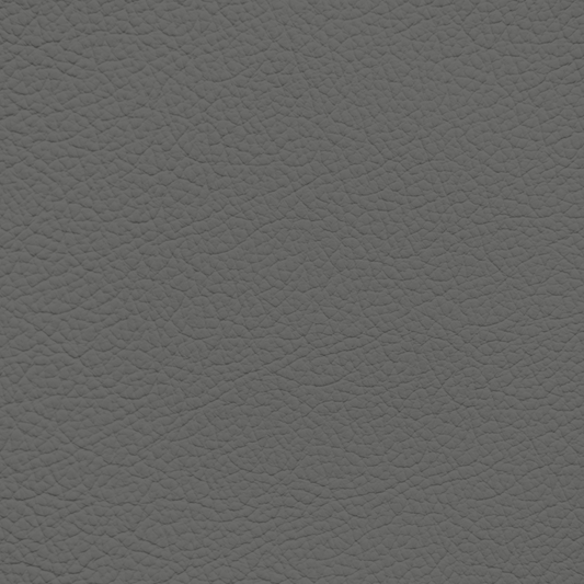 Jaguar Saville Grey Leather Dye