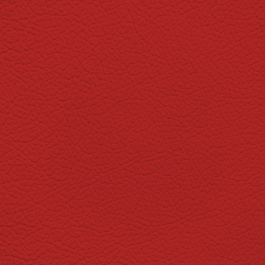 Mercedes Scarlet Red Leather Dye