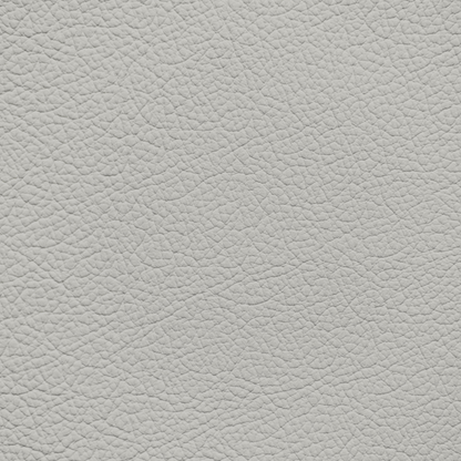 Chrysler/Dodge/Jeep/Plymouth Sea Salt Leather Dye