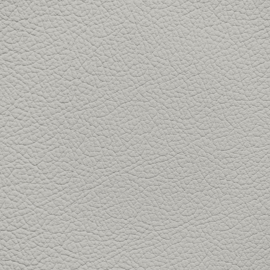 Chrysler/Dodge/Jeep/Plymouth Sea Salt Leather Dye