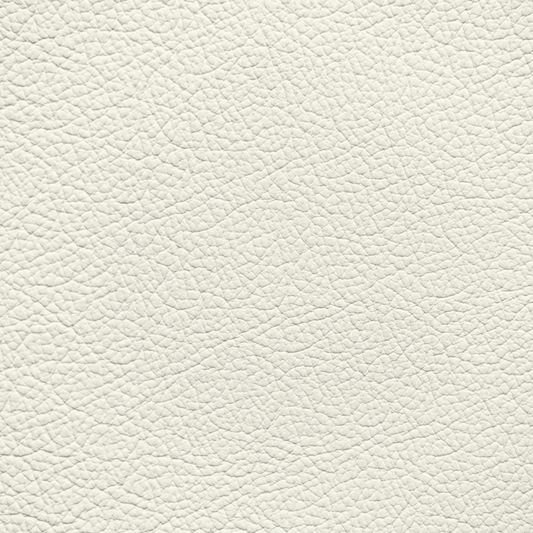 Rolls Royce/Ferrari Seashell Leather Dye