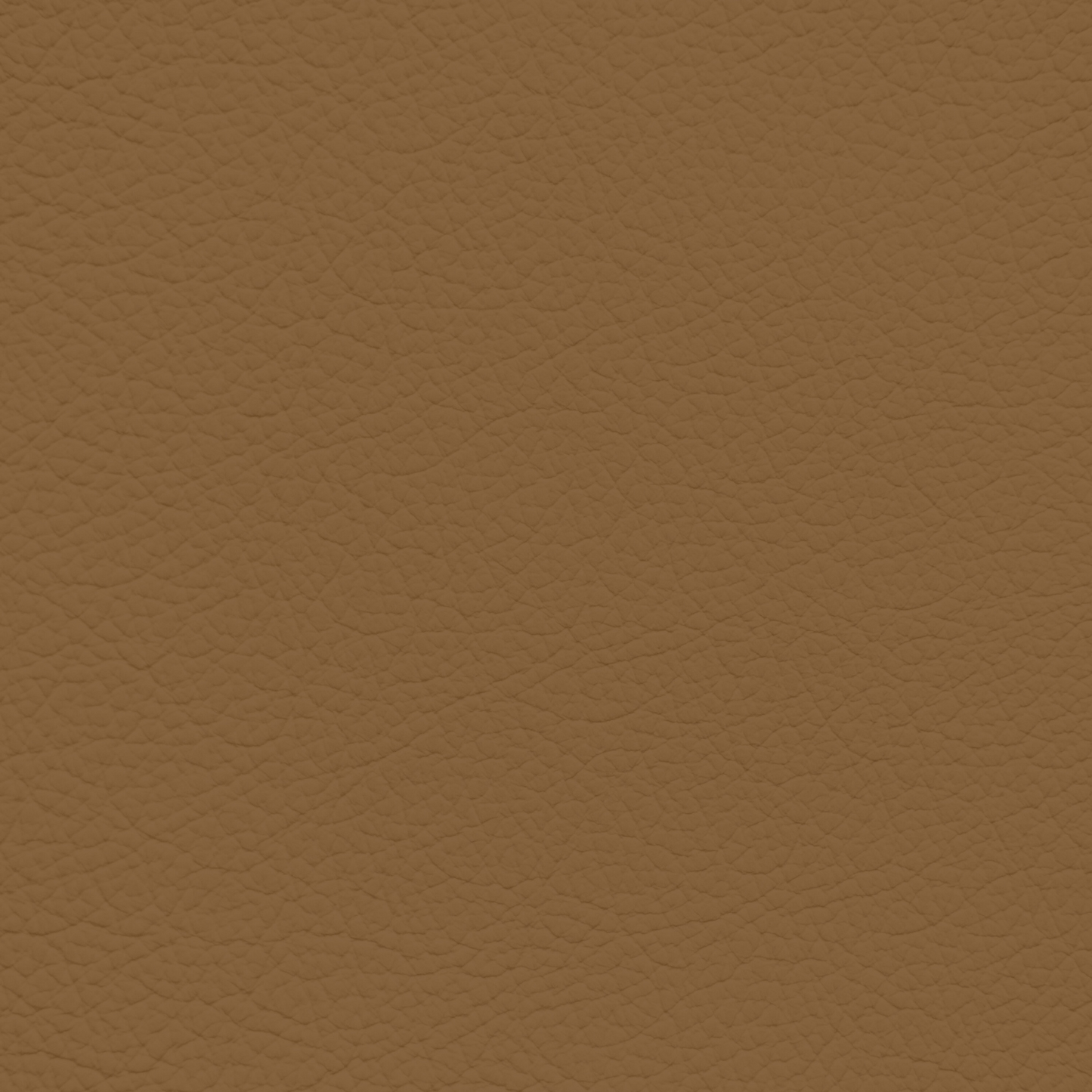 GM Sedona Leather Dye