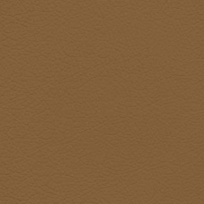 GM Sedona Leather Dye