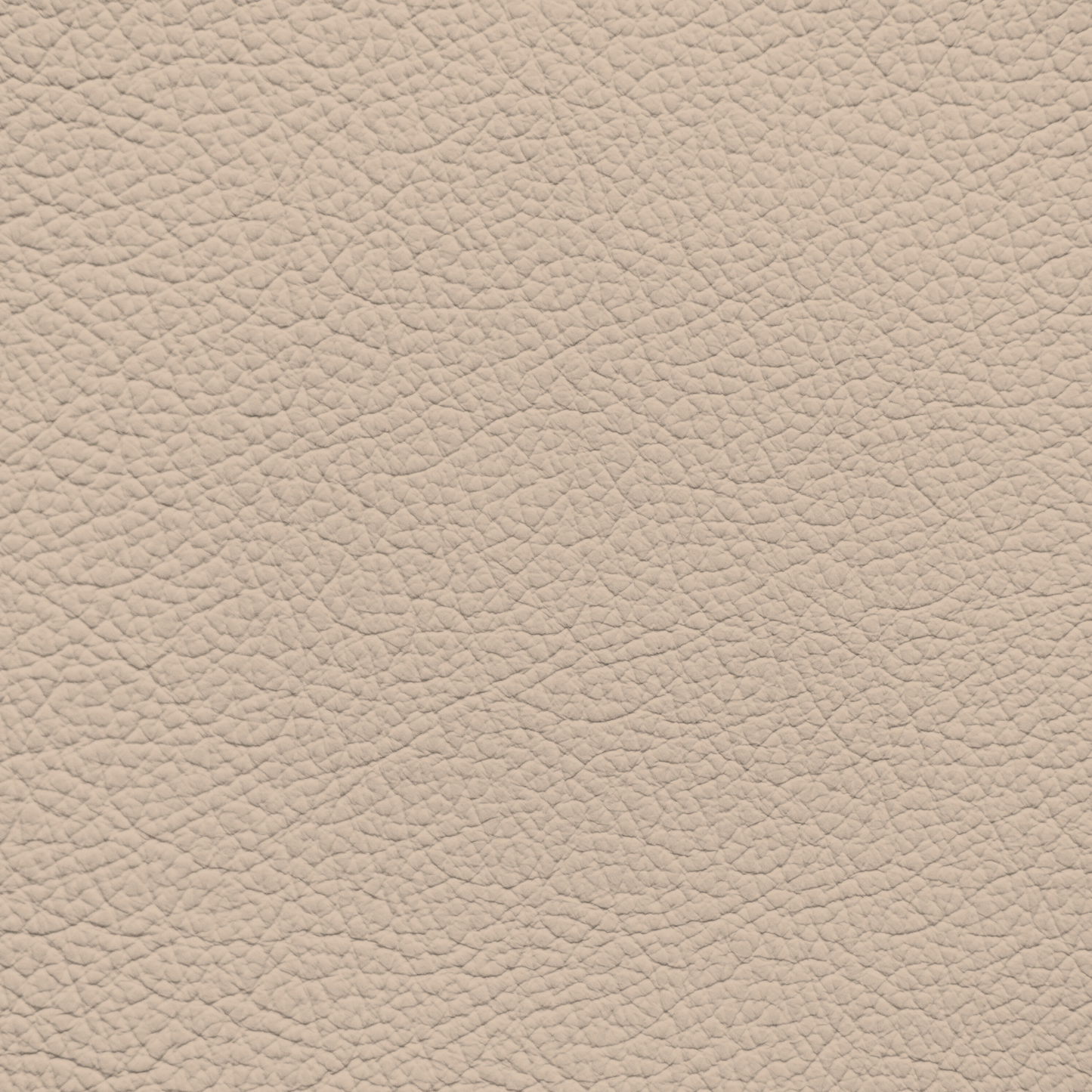 BMW Sepang Bronze Light Leather Dye