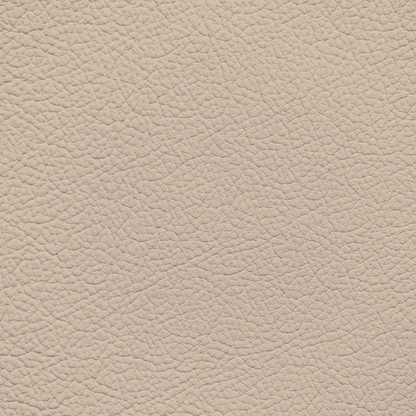 BMW Sepang Bronze Light Leather Dye