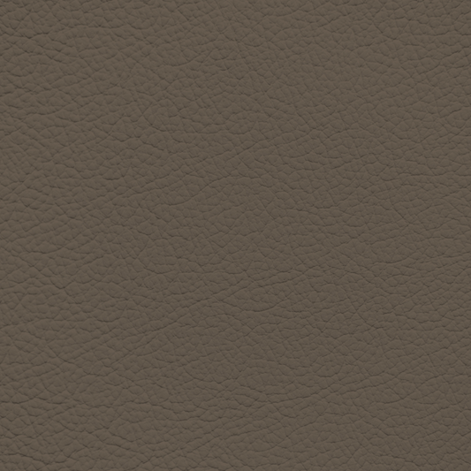Lexus Sephia Leather Dye