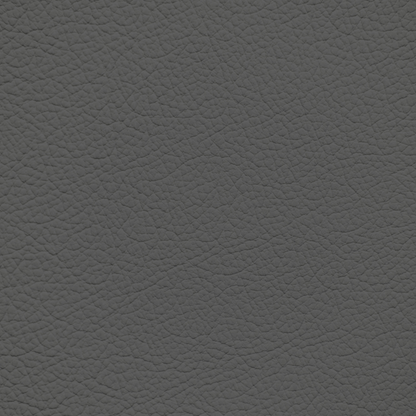 Ford/Lincoln/Mercury Shale Leather Dye
