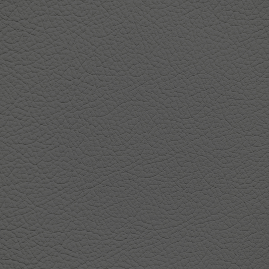 Ford/Lincoln/Mercury Shale Leather Dye