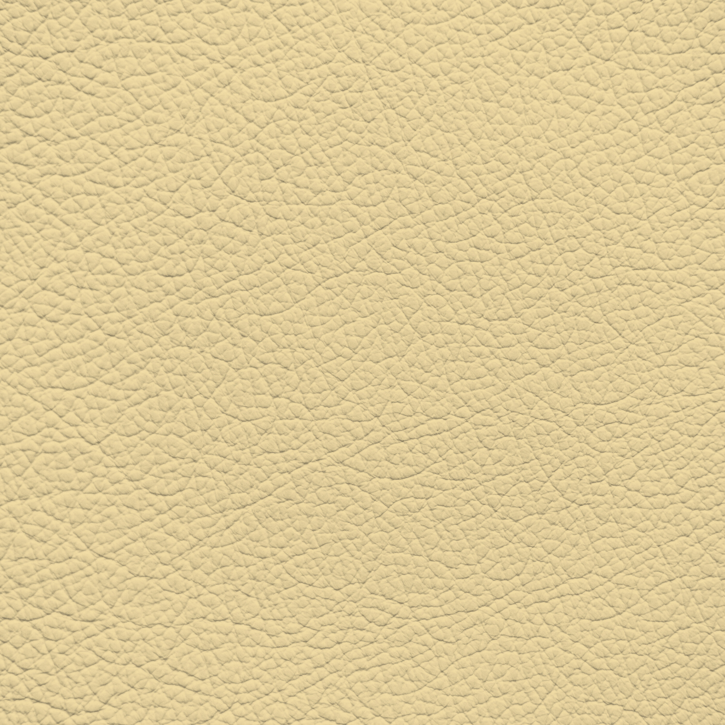 Mercedes Shell Leather Dye
