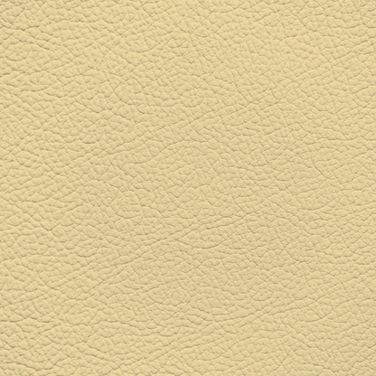 Mercedes Shell Leather Dye
