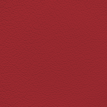 Ford/Lincoln/Mercury Showstop Red Leather Dye