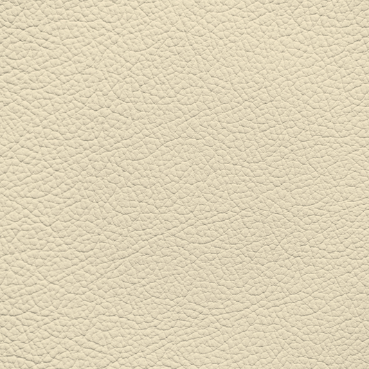 Mercedes Siam Beige Leather Dye