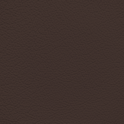 Ford/Lincoln/Mercury Sienna Leather Dye