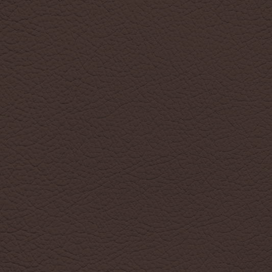 Ford/Lincoln/Mercury Sienna Leather Dye