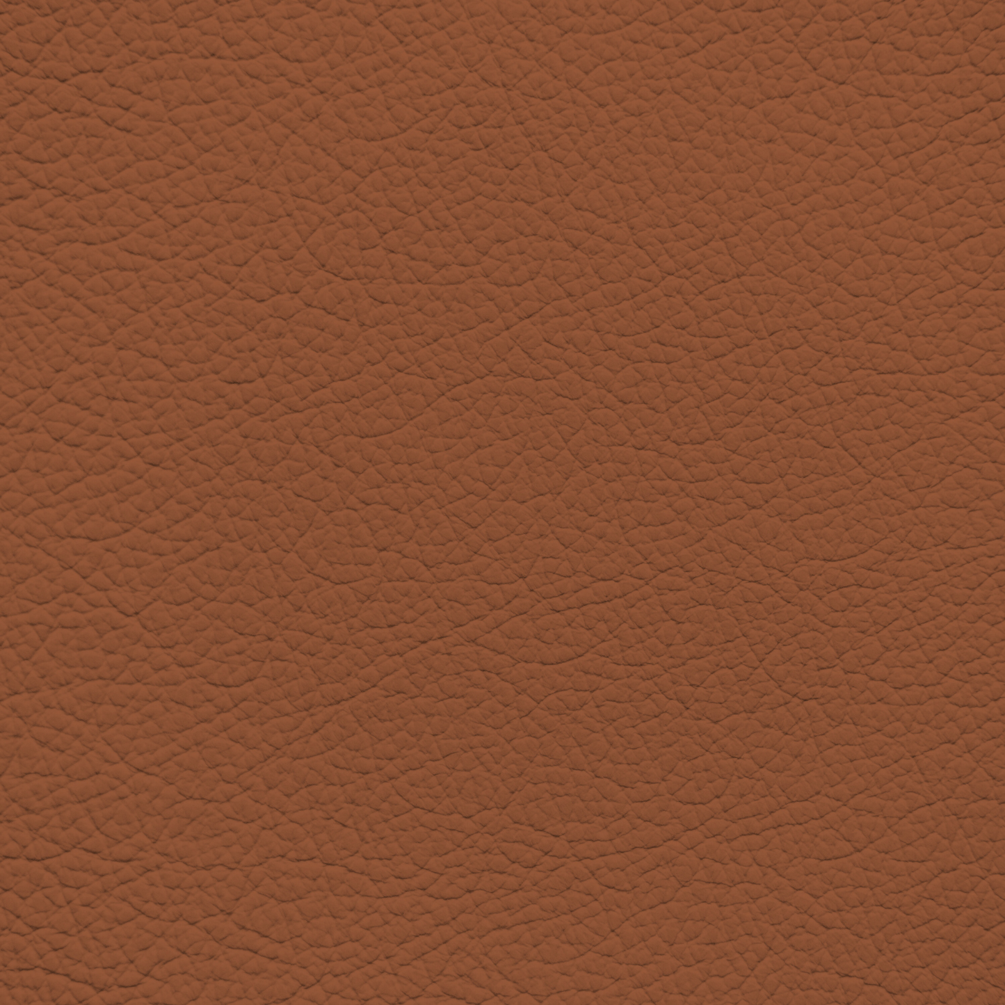 Mercedes Sienna Brown Leather Dye
