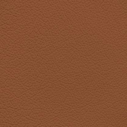 Mercedes Sienna Brown Leather Dye