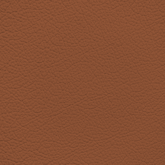 Mercedes Sienna Brown Leather Dye