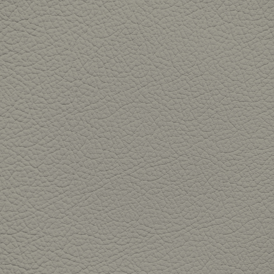 Mercedes Sierra Gray Leather Dye