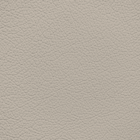Mercedes Silk Beige Leather Dye