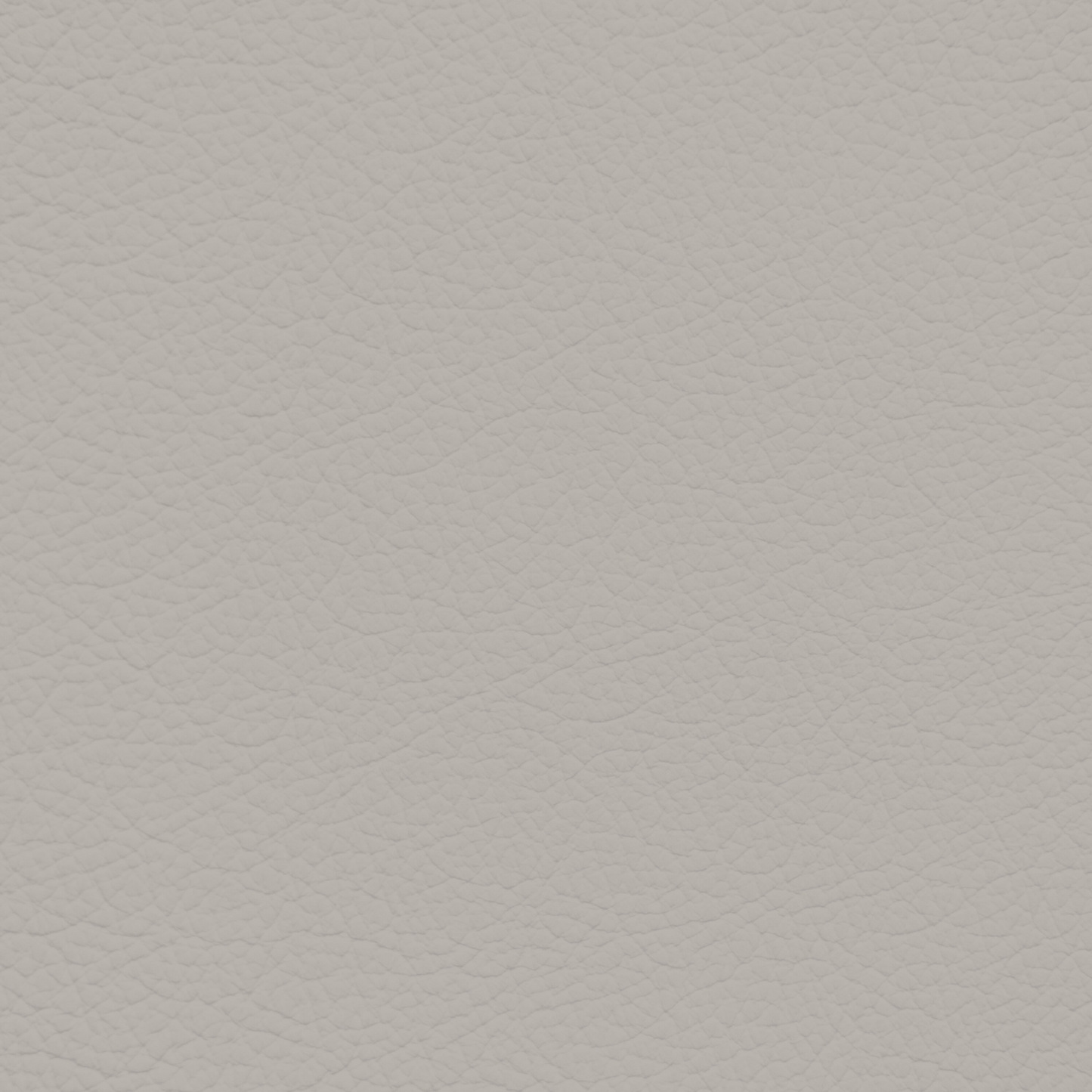 Porsche Silk Grey Leather Dye