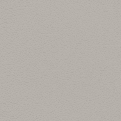 Porsche Silk Grey Leather Dye