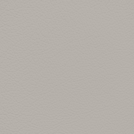 Porsche Silk Grey Leather Dye