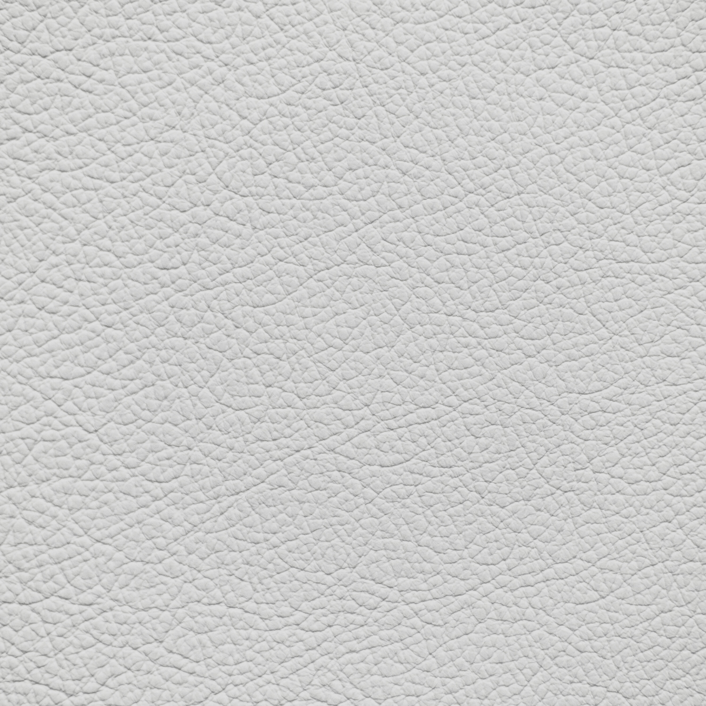 Mercedes Silver Metallic Leather Dye