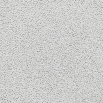 Mercedes Silver Metallic Leather Dye