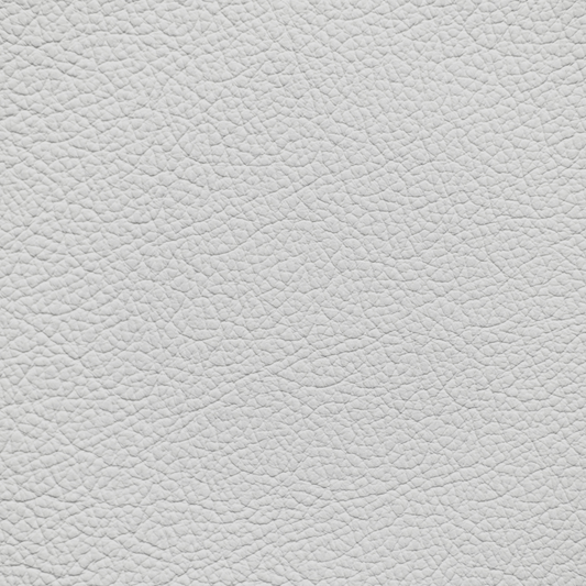 Mercedes Silver Metallic Leather Dye