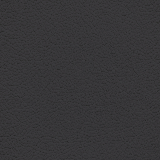 Ford/Lincoln/Mercury Silver Smoke Leather Dye