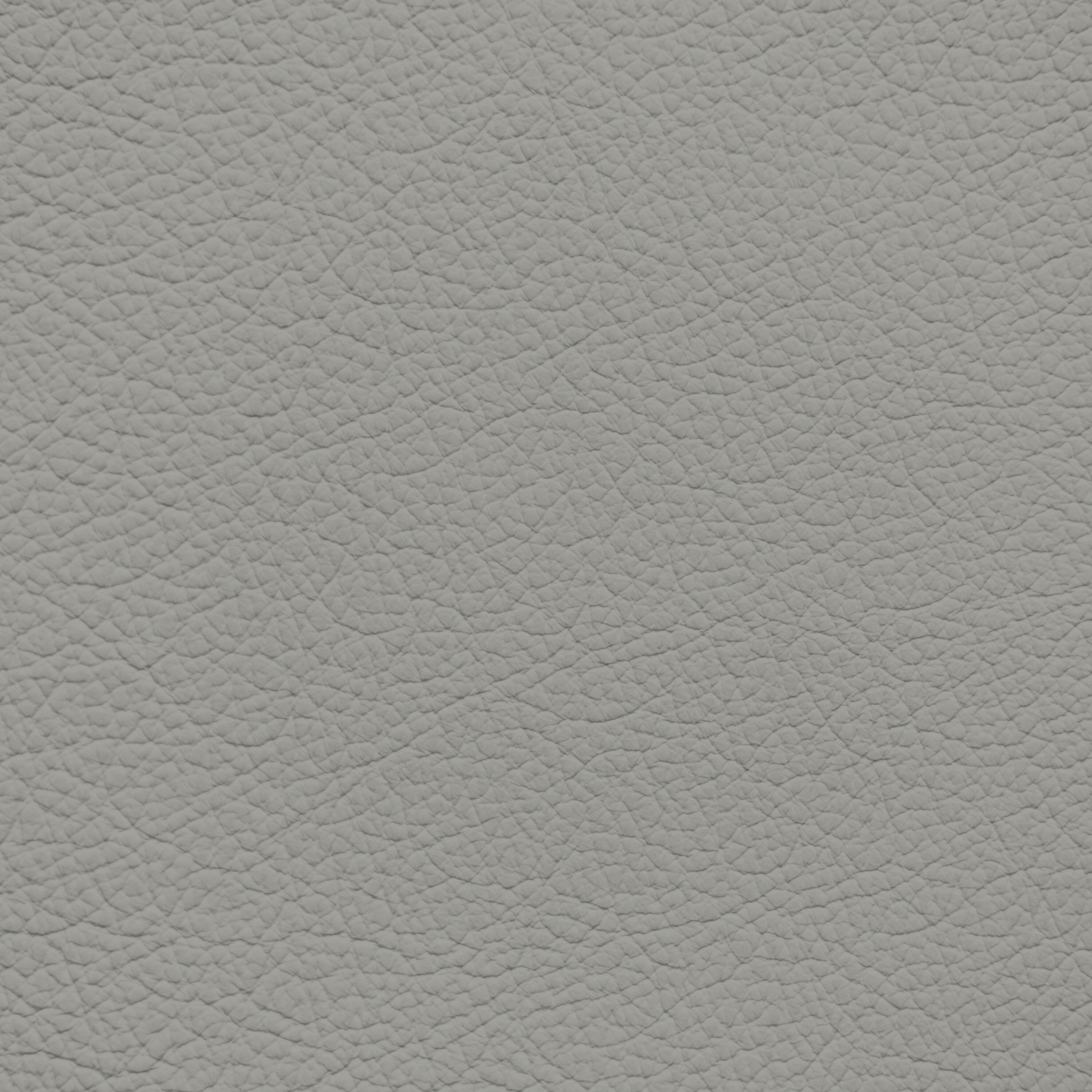 Porsche Silver Grey Leather Dye