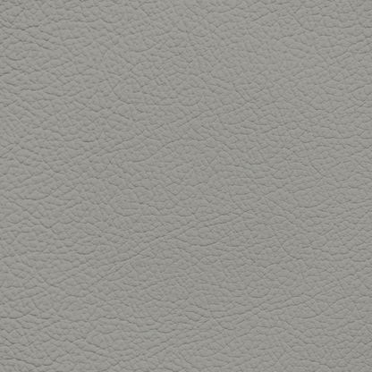 Porsche Silver Grey Leather Dye
